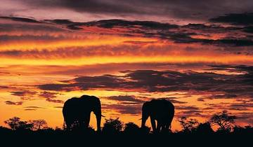14 Day Zimbabwe & Botswana Itinerary, incl. Victoria Falls and Okavango Delta