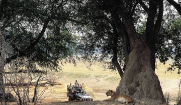14 Days in Botswana Safari, incl. Okavango Delta and Victoria Falls
