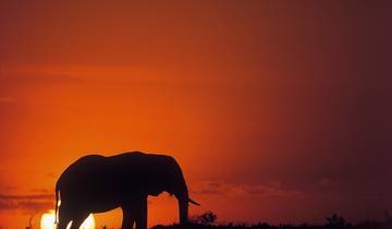 14 Days in Botswana Safari, incl. Okavango Delta and Victoria Falls