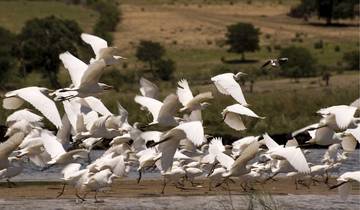 14 Days in Botswana Safari, incl. Okavango Delta and Victoria Falls