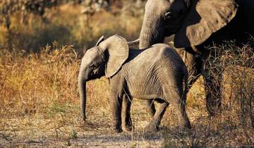 Southern Africa