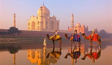 Taj Mahal et faune sauvage avec séjour royal dans des châteaux circuit