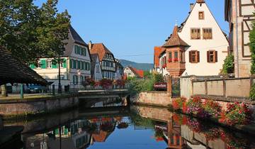 7 Days in Alsace & Lorraine, incl. Strasbourg and Saverne