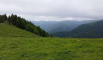7 Days in Alsace & Lorraine, incl. Strasbourg and Saverne