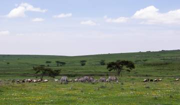 Nairobi To Harare (24 Days) Savanna Dawn