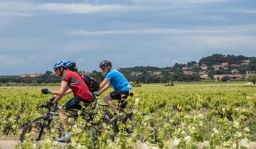 Circuito En bici por la Provenza