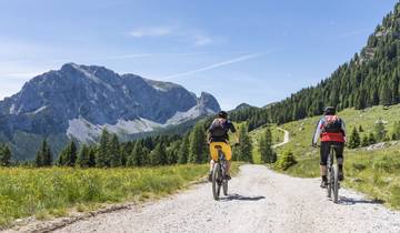 Cycle Provence