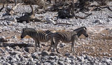 Botsuana Esencial (incluido el Parque de Caza de Caprivi)