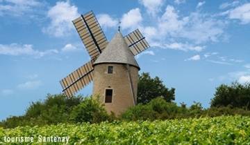 Fine Food and Wines on a Cruise through the Burgundy Region (port-to-port cruise)