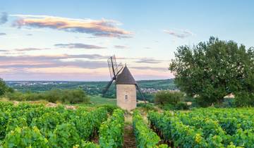 Fine Food and Wines on a Cruise through the Burgundy Region (port-to-port cruise)
