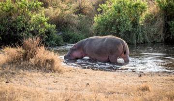 Serengeti & Ngorongoro Safari (4 destinations)