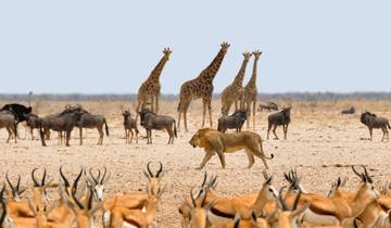 10 Days in Namibia, incl. Windhoek and Etosha National Park