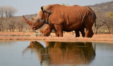 10 Days in Namibia, incl. Windhoek and Etosha National Park