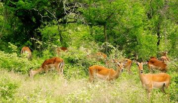 Journeys: Cape Town, Kruger & Namibia National Geographic Journeys