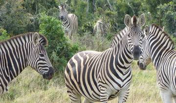 21 Day Southern Africa Itinerary, incl. Cape Town and Victoria Falls