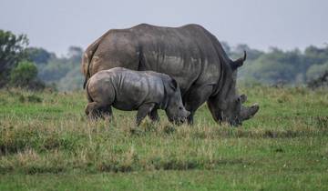 21 Day Southern Africa Itinerary, incl. Cape Town and Victoria Falls
