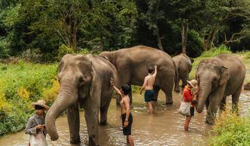 14 Days in Northern Thailand, incl. Bangkok and Chiang Mai