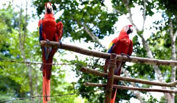 13 Day Central America Itinerary, incl. Guatemala and Nicaragua