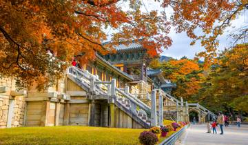 7 Day South Korea Itinerary, incl. Seoul and Busan