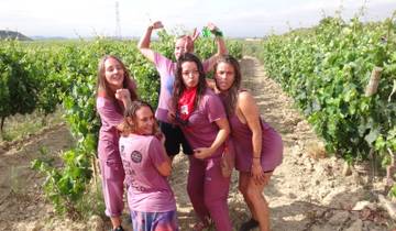 Barcelona to San Vino Wine Fight Return Bus