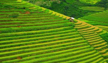 21 Day Vietnam Itinerary, incl. Ho Chi Minh City and Hanoi