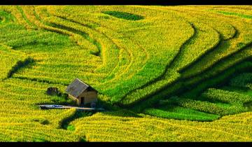 21 Day Vietnam Itinerary, incl. Ho Chi Minh City and Hanoi