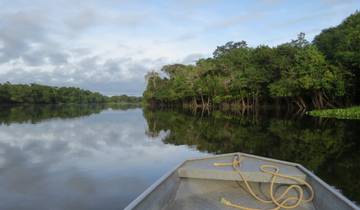 Amazon Riverboat Adventure In Depth