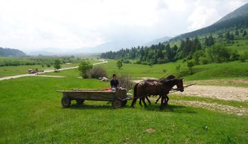 10 Day Romania Itinerary, incl. Cluj-Napoca and Bucharest