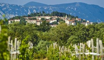 Food & Wine Tasting Holiday in Slovenia Tour