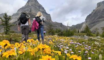 7 Day Canadian Rockies Itinerary, incl. Banff and Jasper