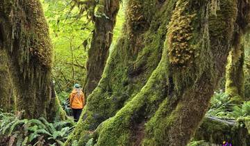 Secrets Of The West Coast | Vancouver Island Active Tour Tour