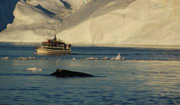 Les incontournables de l'Islande et du Groenland - 8 jours