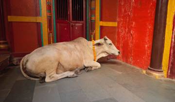 Golden Triangle with Varanasi