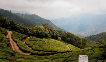 7 Day Kerala Itinerary, incl. Munnar and Kumarakom
