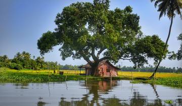 7 Day Kerala Itinerary, incl. Munnar and Kumarakom
