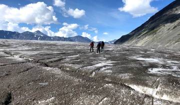 Randonnée de découverte des glaciers de Kenai Fjords