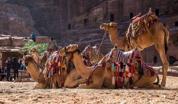 10 Days in Middle East, incl. Jerusalem and Cairo