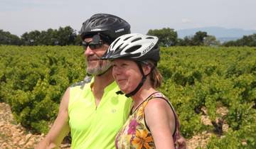 Bike Tour, Provence, France (guided groups)