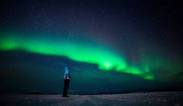 A Winter Journey in Wild Lapland, 7 nights