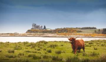 4-Day Magical Mull, Isle of Iona & West Highlands Small-Group Tour from Edinburgh Tour