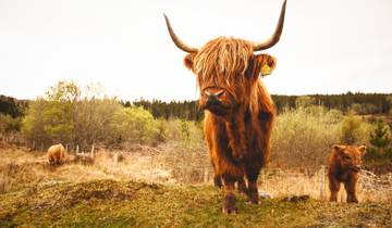 6 Days in Scotland, incl. Edinburgh and Isle of Skye