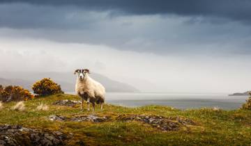5-Day Iona, Mull & the Isle of Skye Small-Group Tour from Edinburgh Tour