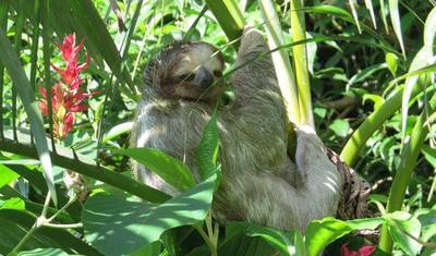 Aventura na Costa Rica — 2