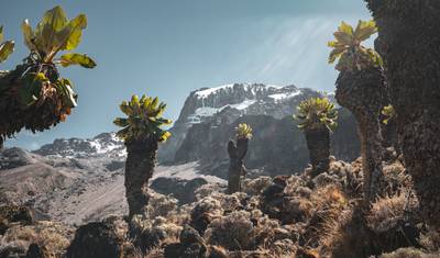 Suba o Kilimanjaro: 9 Dias Rota Lemosho — 3