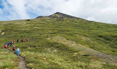 أفضل ما في يوكون وألاسكا (من/إلى Whitehorse) — 3