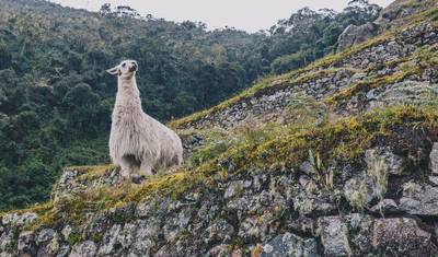 South America Highlights — 5