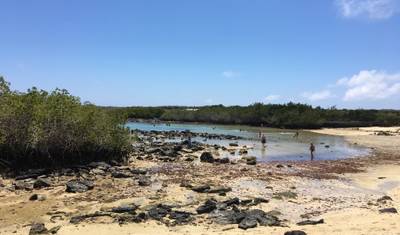 4-dniowe skoki po wyspach Galapagos — 4