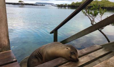 4-dniowe skoki po wyspach Galapagos — 3