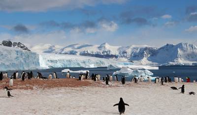 Epicka Antarktyda: Falklandy, Georgia Południowa i Przekroczenie Kręgu Polarnego Antarktycznego przez Buenos Aires, Obsługiwane przez Quark — 5
