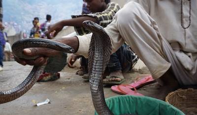 الرحلات: أفضل ما في بورنيو من National Geographic — 4